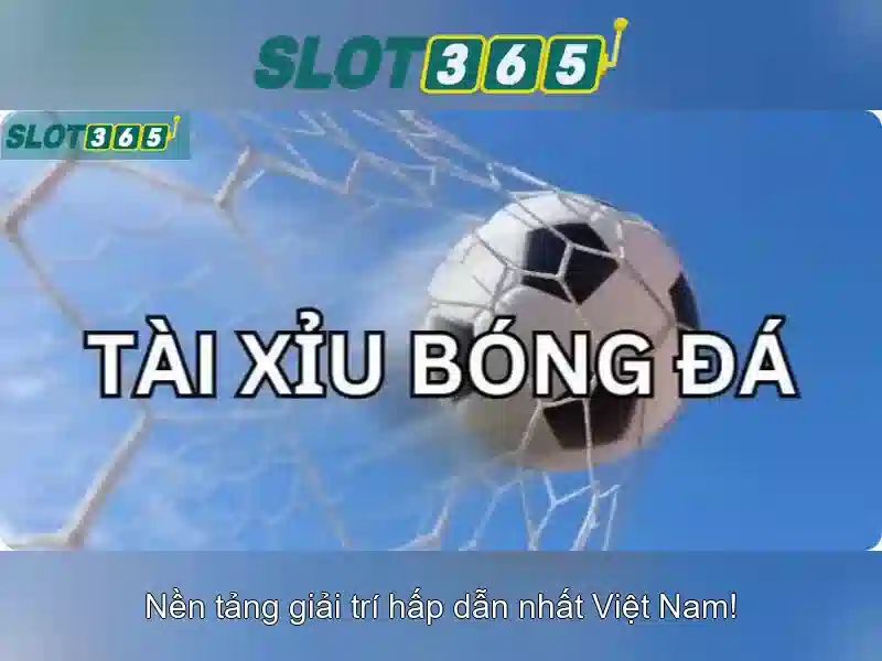 Khuyến mãi và chương trình thưởng