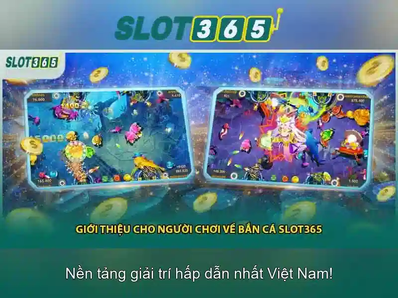 Tiện ích và trải nghiệm người dùng