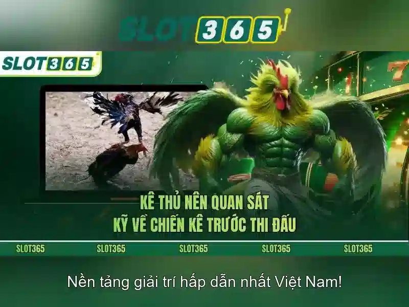 Slot365 – Đánh giá tổng quan nền tảng trò chơi trực tuyến