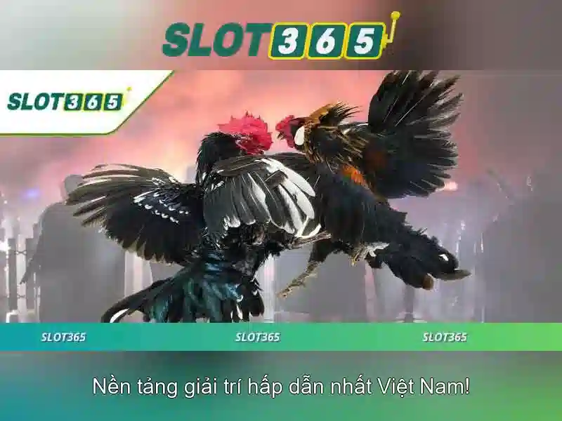 Slot365 – Nền tảng slot trực tuyến