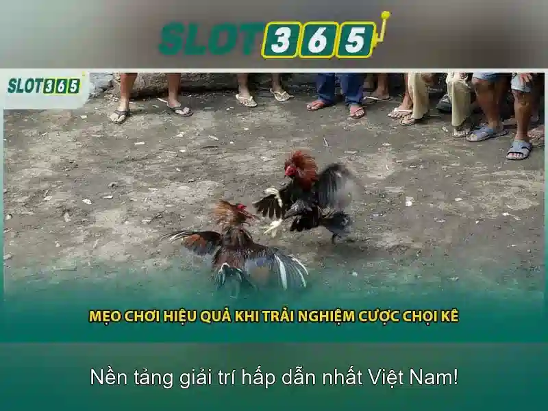 Slot365 và thế giới casino trực tuyến