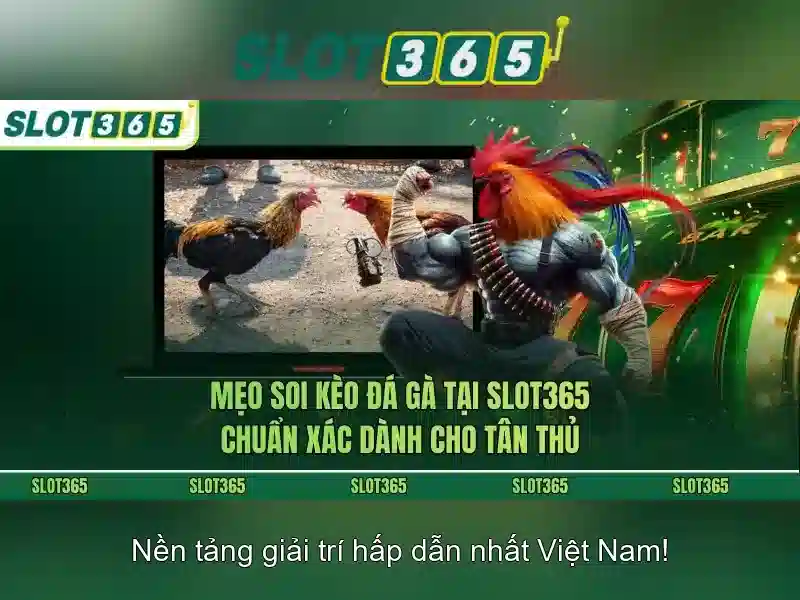 Đặc điểm nổi bật của Slot365
