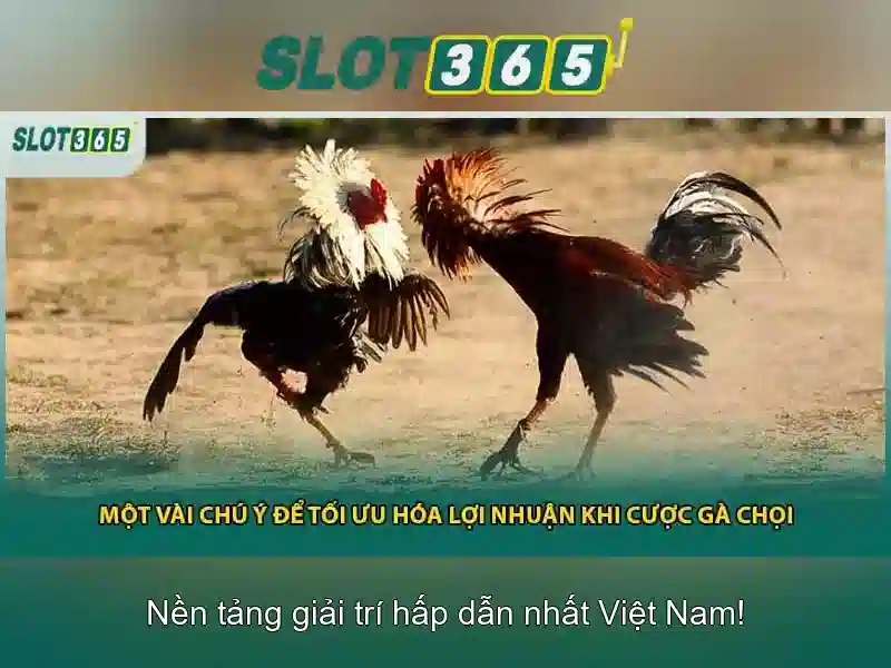 An toàn tài khoản và thanh toán