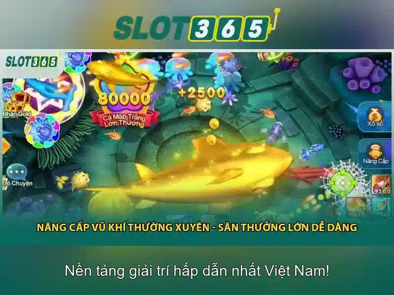 Khuyến mãi và chương trình khách hàng thân thiết