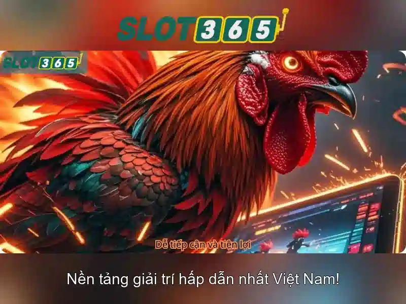 Khuyến mãi và tiện ích\n<h3><b>An toàn và pháp lý</b></h3>\n<li style=