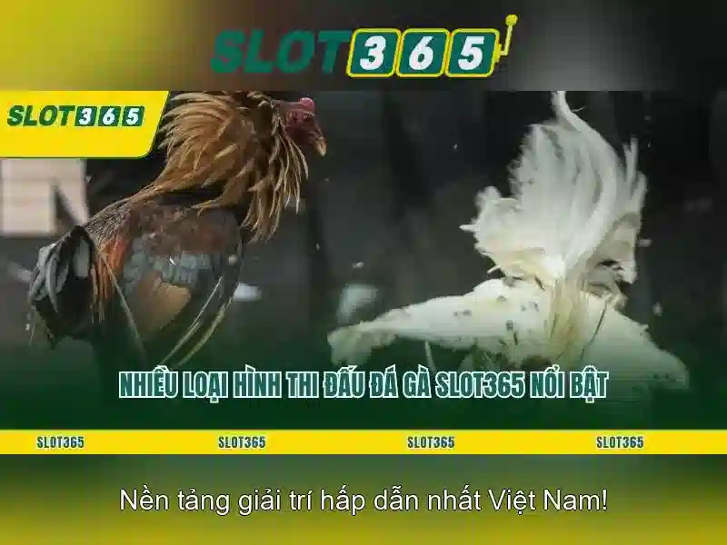 Slot365 – Giới thiệu