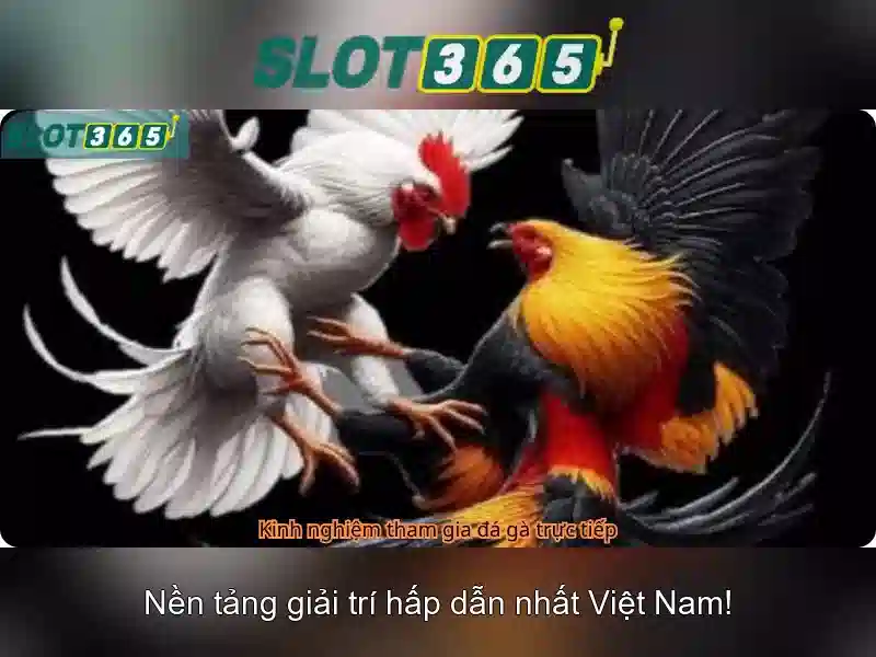 Slot365 - Nền tảng chơi xèng trực tuyến uy tín