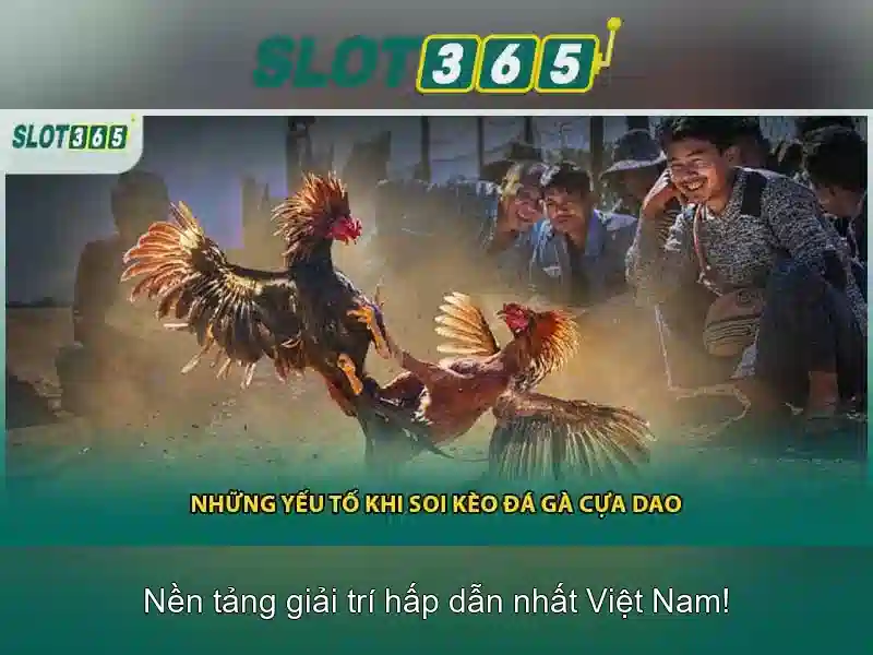 Khuyến mãi và chương trình thưởng