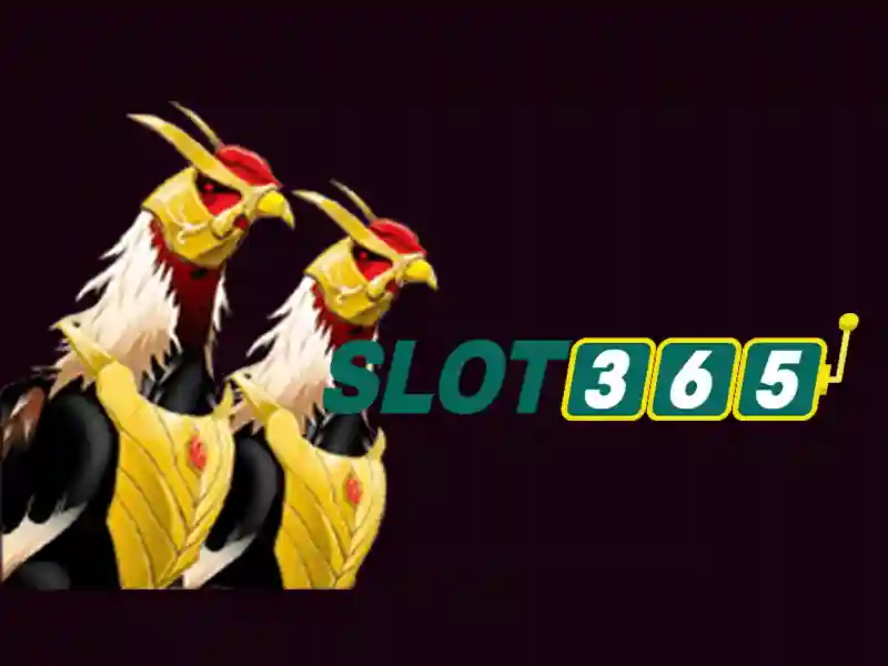 Sản phẩm và dịch vụ chính: ứng dụng thực tế của slot365 tại