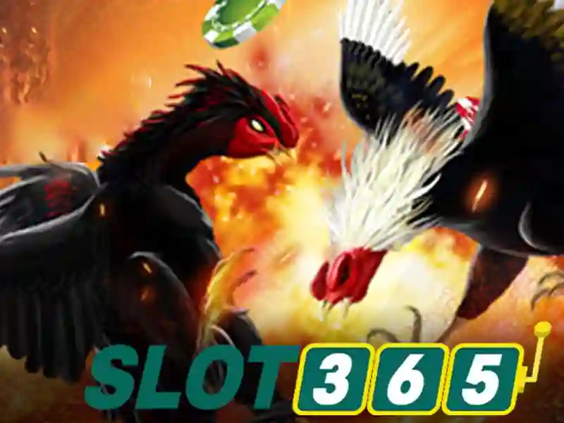 slot365 alternatif – Khám phá slot365 ios và slot365 com
