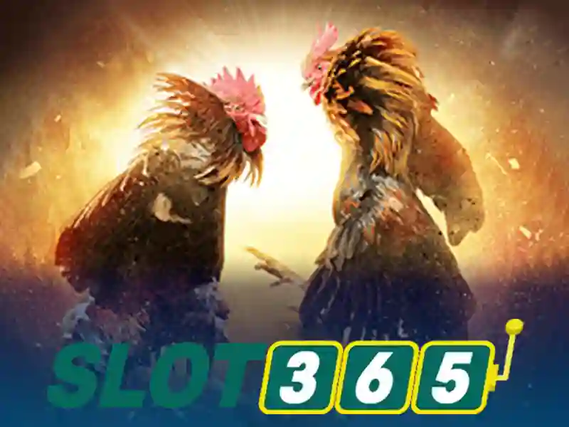 Slot365 là nền tảng giải trí slot trực tuyến uy tín