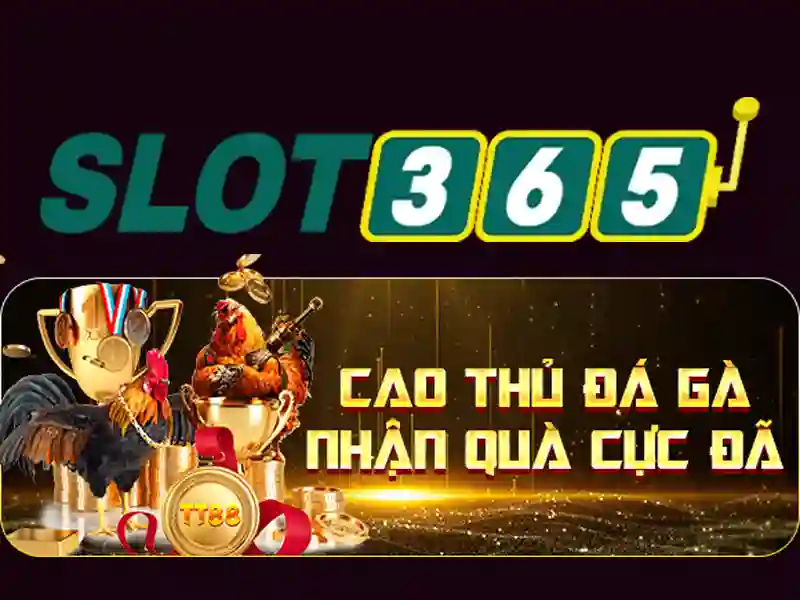slot365 tại – Khám phá nền tảng casino trực tuyến uy tín