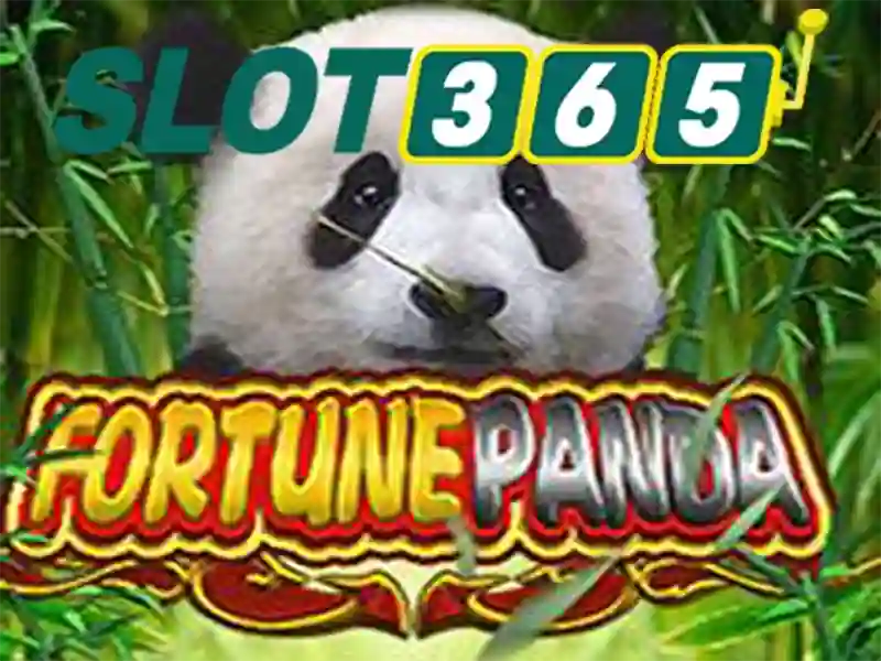 Slot365: Nền tảng trò chơi trực tuyến hàng đầu