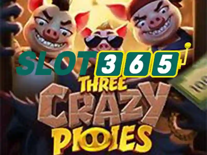 slot365 poker – Tổng quan chủ đề và giá trị cốt lõi